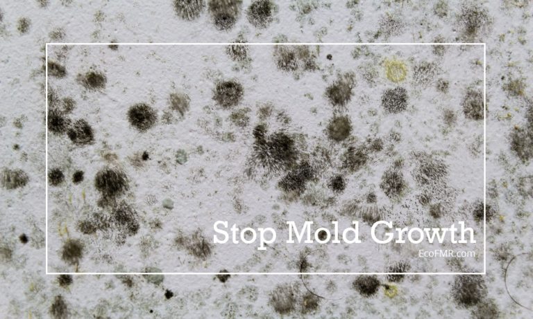 Symptoms of Mold Exposure In House and More
