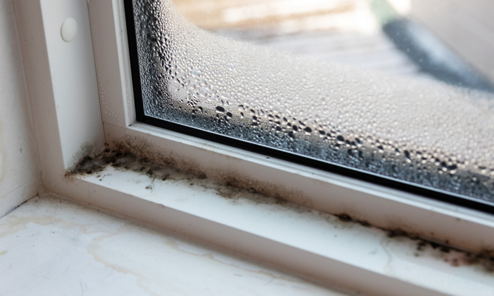 Black Mold On Window Sills Causes Treatment Prevention - What Is The Black Mold In My Bathroom