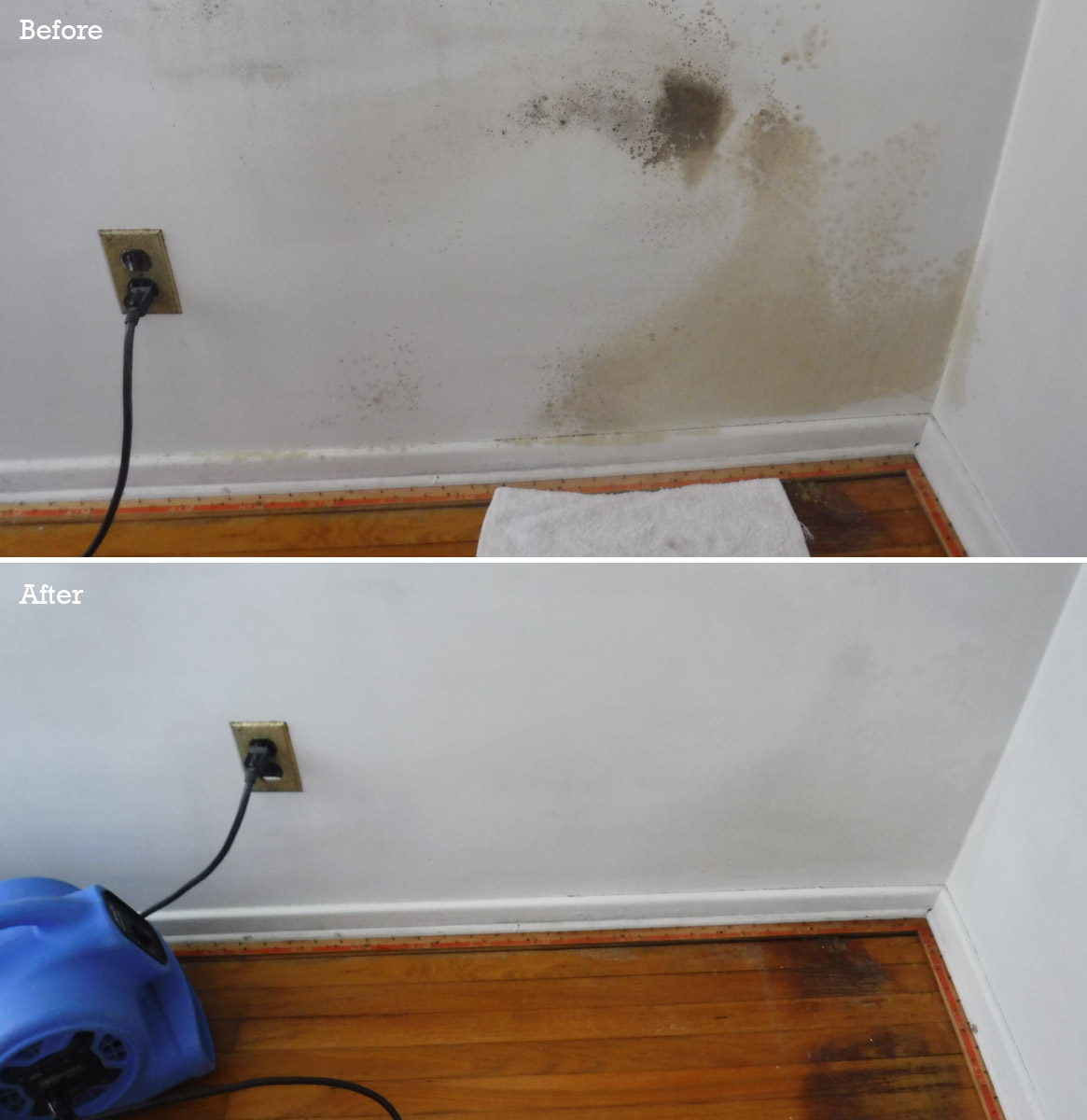 mold remediation before after